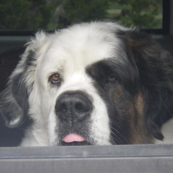 Meet your Posher, Kathy - Picture 1 of 1